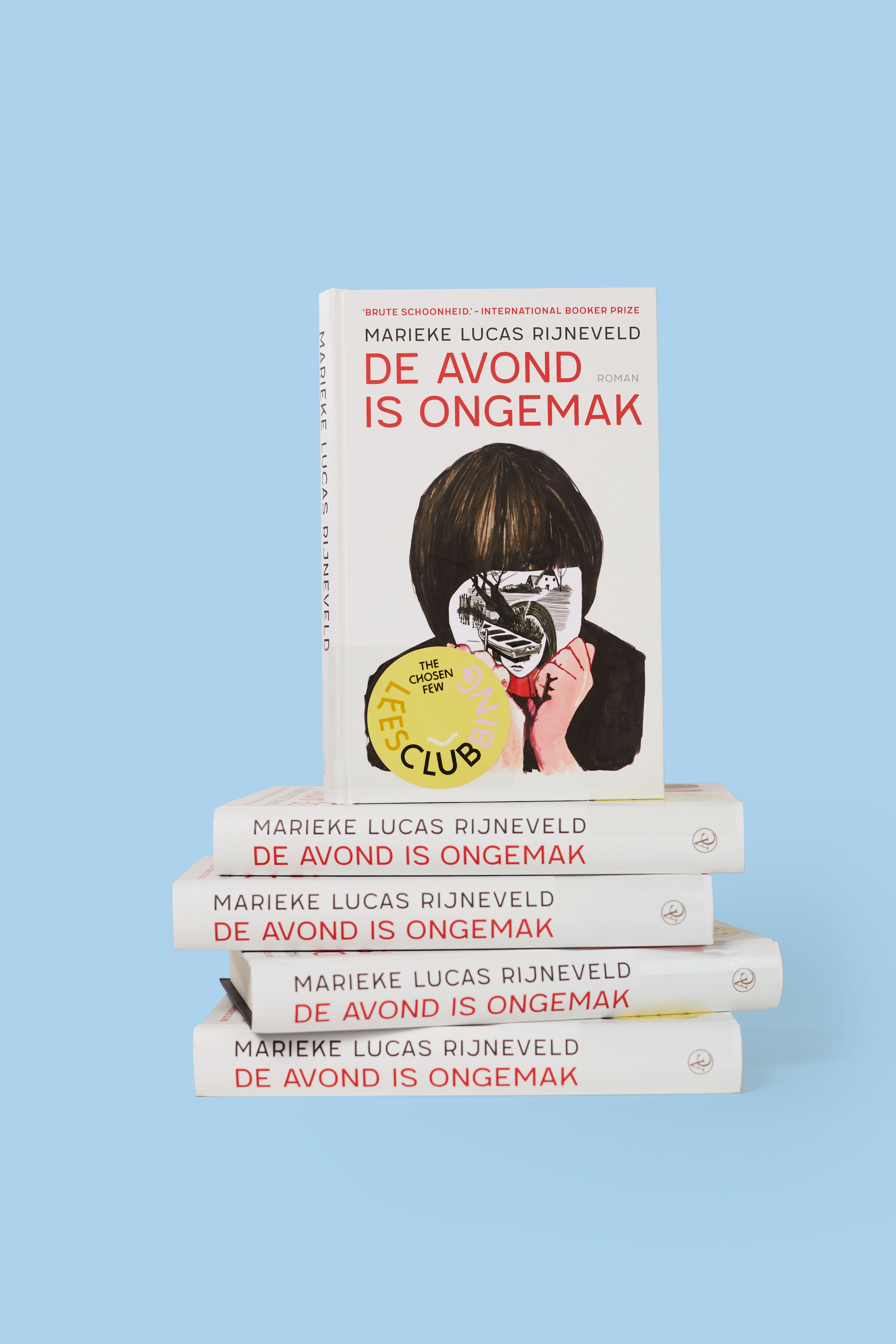 boek: de avond is ongemak
